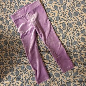 Crewcuts purple velvet Leggings